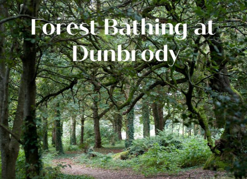 Dunbrody Hotel 4*